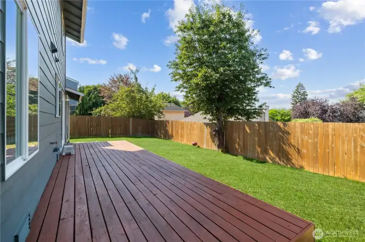 Backyard w.Deck