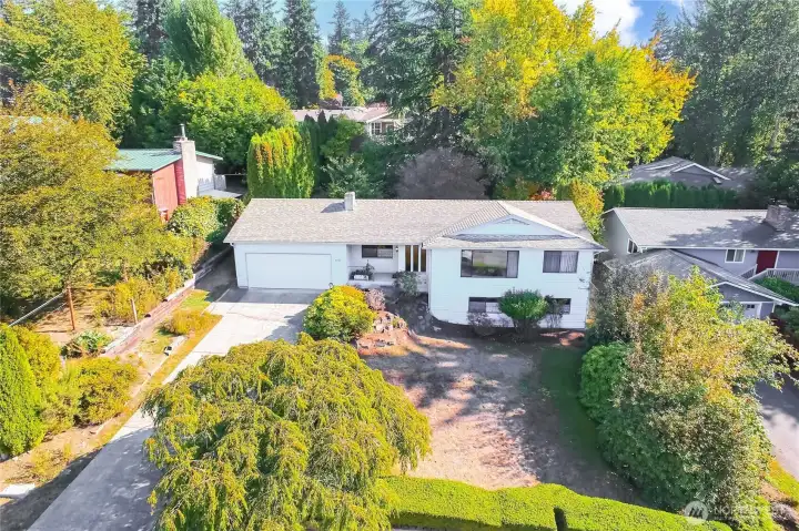 Come home to this 3 bedroom 3 bath house on a huge lot.