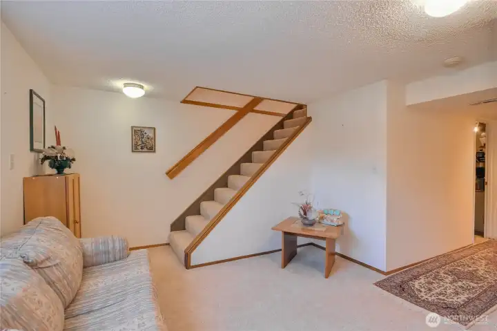 Basement sitting area