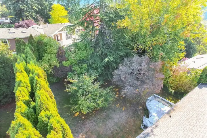 Very large and private back yard.