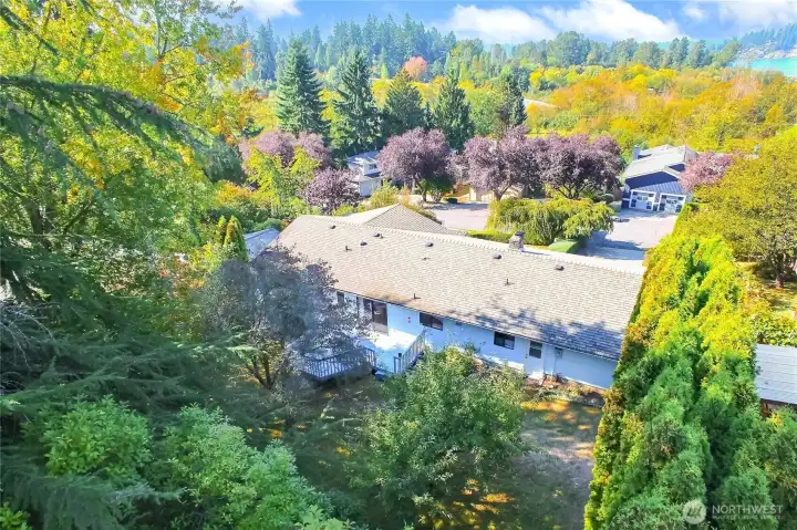 A few blocks from Lake Washington