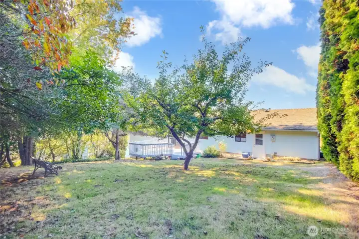 Room to build and ADU? Or split the lot into 2?