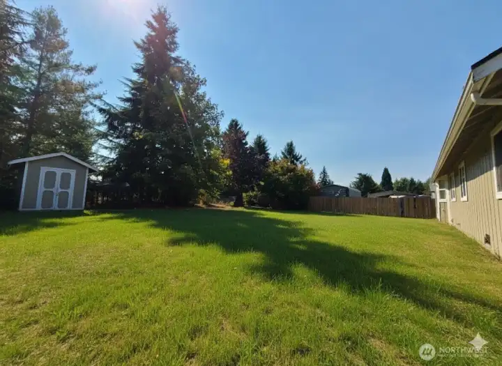 Grass edited digitally for cosmetic touch up.