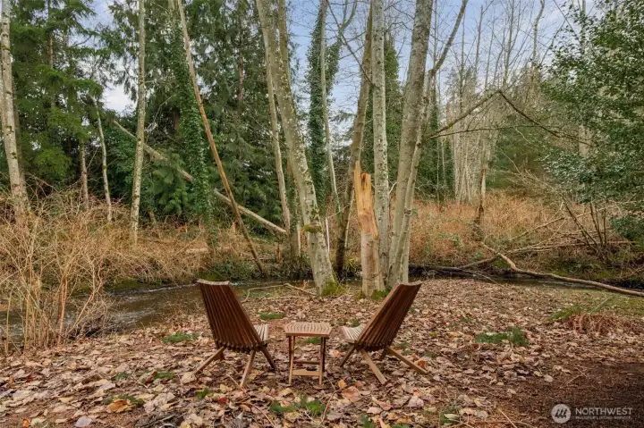 Watch the Silver Salmon spawning in the fall!