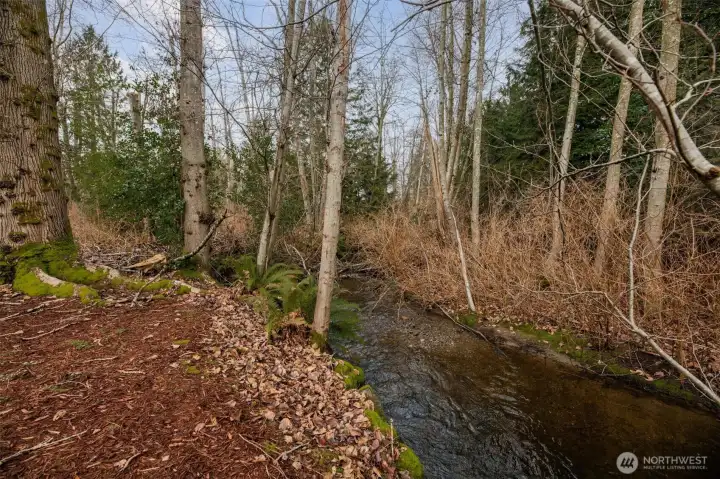 Protected creek lines back of property.