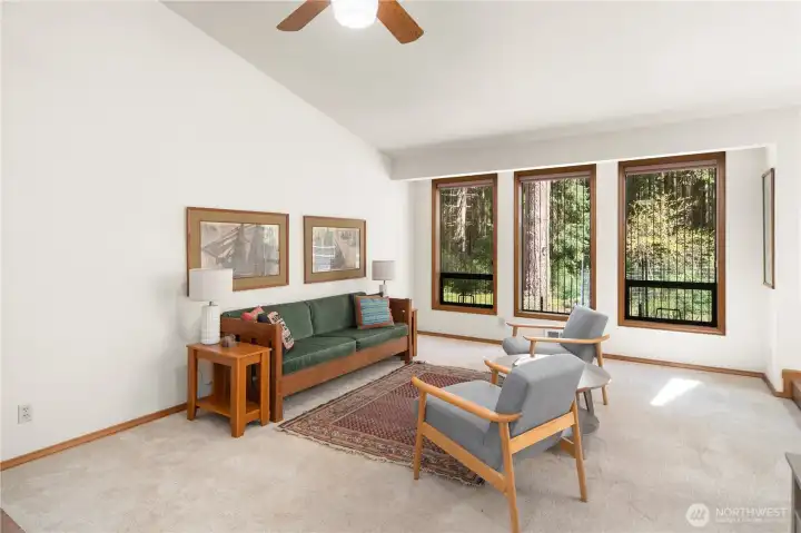 Living room. There are strings hanging down outside (easily removed) to prevent birds from running into the windows.