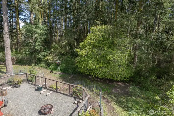 Fenced area in the back yard. The trees are in the 15' alley and in the extra parcel. The entire block has the same treed lots.