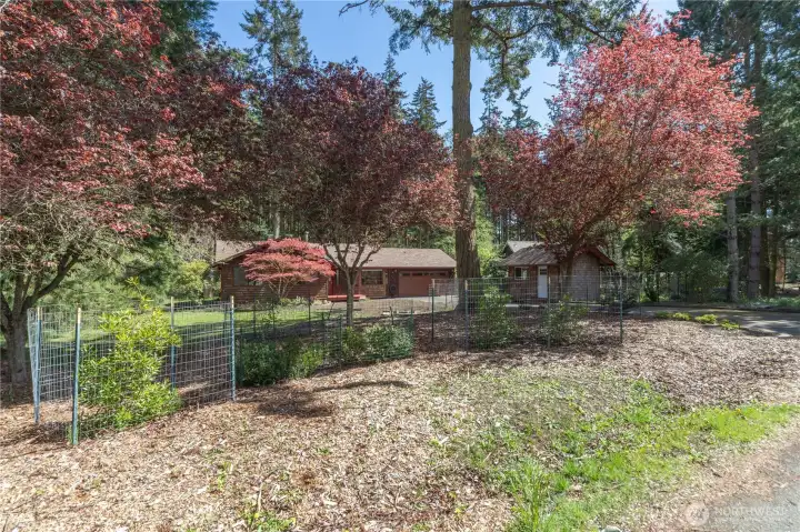 Front yard looking towards the street. Great neighborhood.