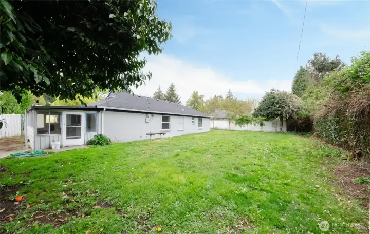 Large backyard