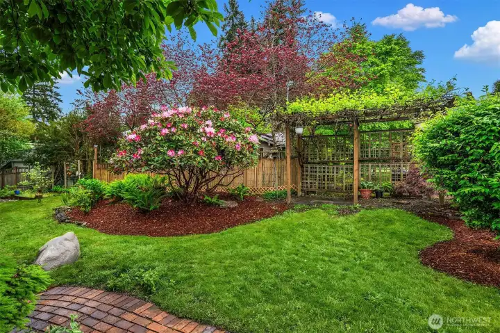 Mature backyard with established landscaping and defined pathway