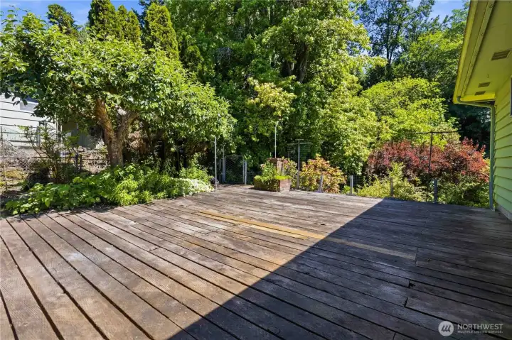 Deck