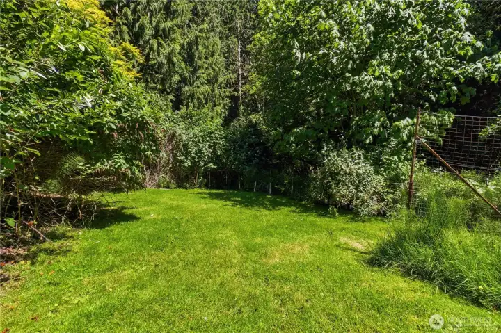 Yard