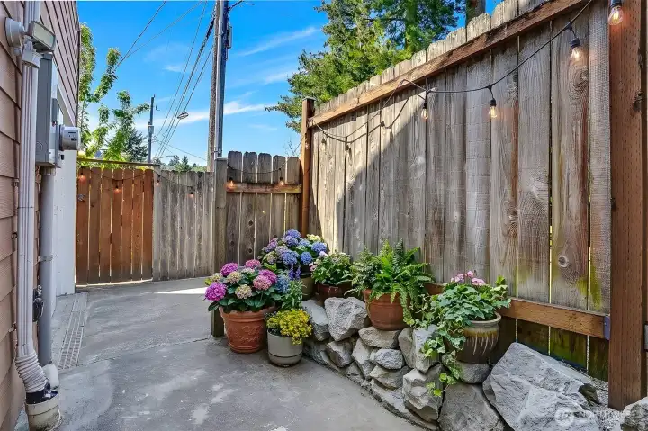 This is an enhanced picutre of the side yard This is an enhanced picutre of the side yard