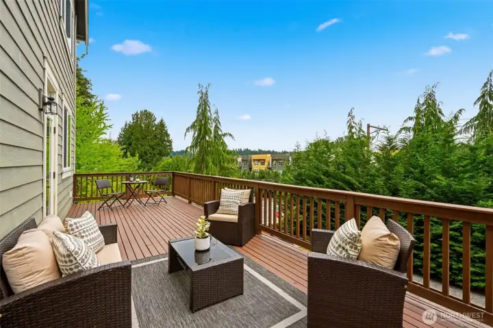 Spacious newly painted deck off great room on main level Spacious newly painted deck off great room on main level