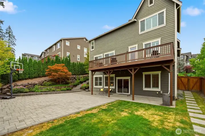 Leveled beautifully landscapped backyard Leveled beautifully landscapped backyard