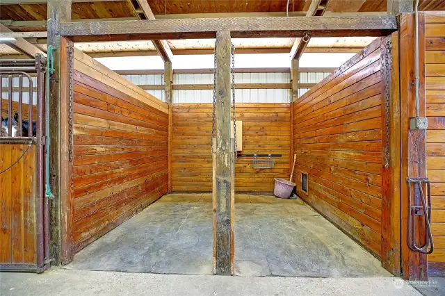 Where horses get ready to shine