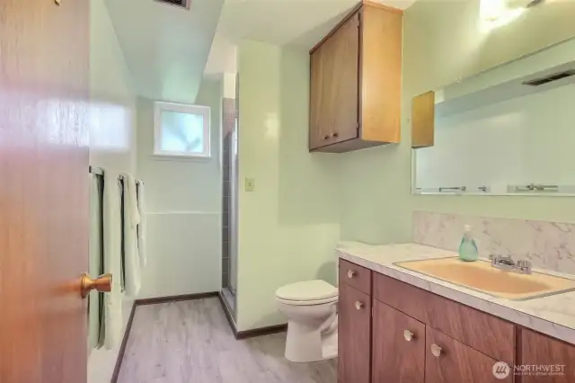 The lower level bathroom features a walk-in shower
