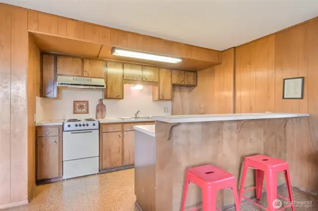 The Rec Room downstairs comes with a full kitchen space!