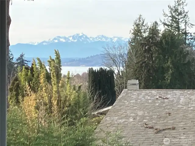 To see these beautiful Olympic mountains from the comfort of home is such a treat