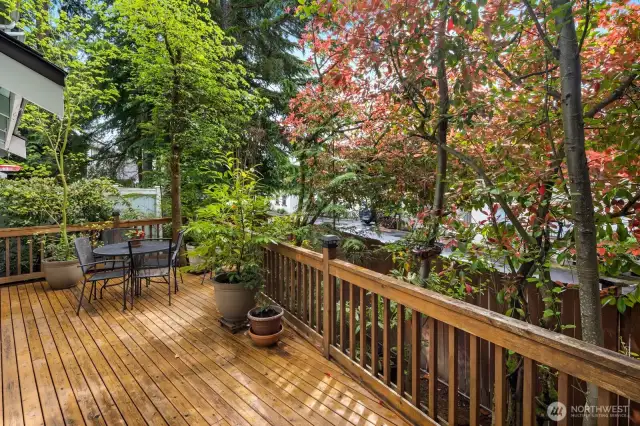 Large back deck great for relaxing or entertaining guests.