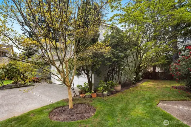Side of home garden space.