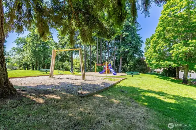 Playground in community park behind the home.