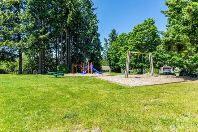 Just some of the grassy area in the community park.