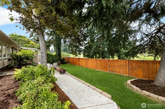 Back yard