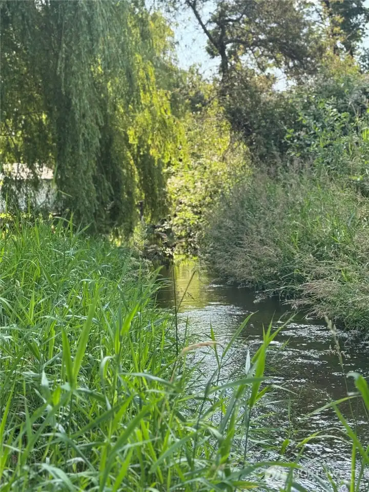 1,400+ ft of Newaukum creek.