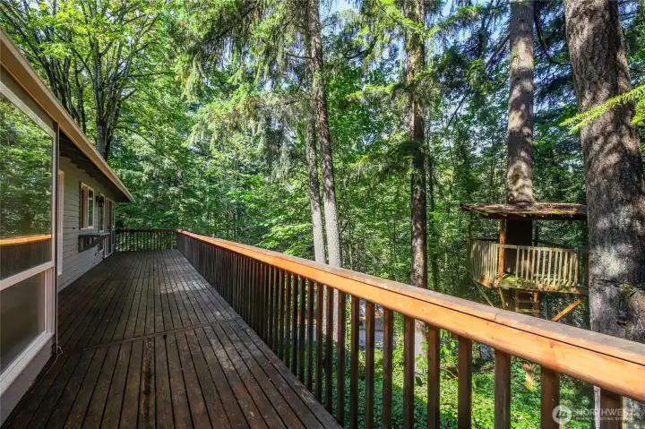 ABOUT THE OUTSIDE   Rear deck running the whole length of the house  Lower deck off of studio  Low maintenance rear yard  Corner lot (10,000 sq ft)