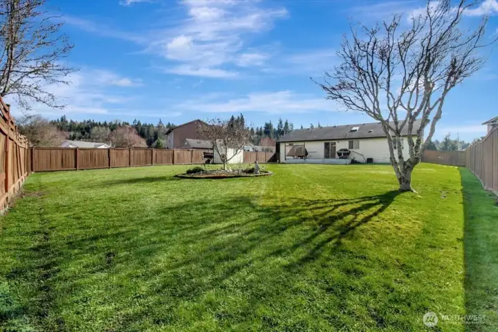 HUGE BACKYARD for critters