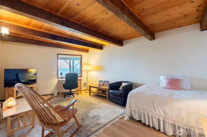 Lower Level Bedroom #4 or Home Office?