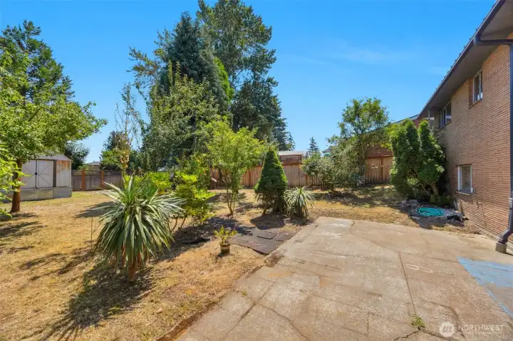 The yard is 9000 sf - lots of potential for future additions