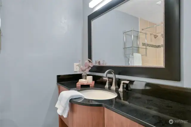 Second lower level bathroom with beautiful countertops and sink.