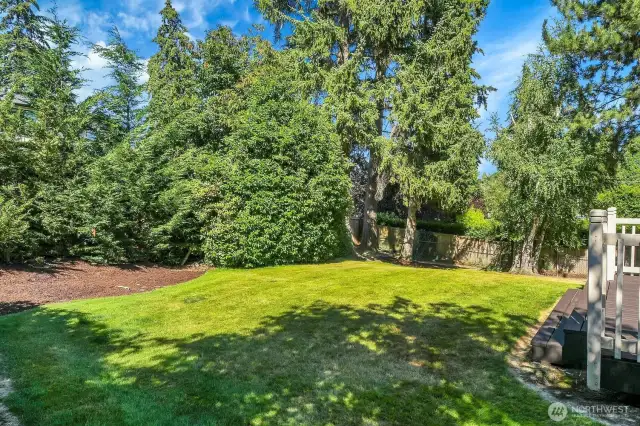 Big private backyard