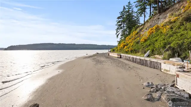 Whales Frequent this Strip, Leaving Tracks at Low Tide~