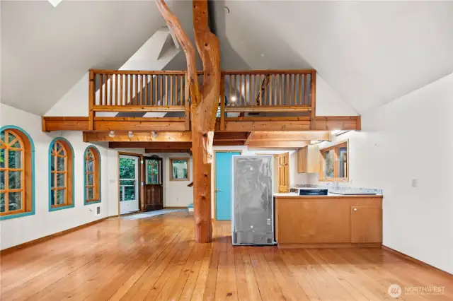 More Douglas Fir in Cottage, Harvested from this Property~