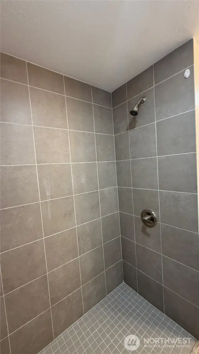 Shower for main bathroom