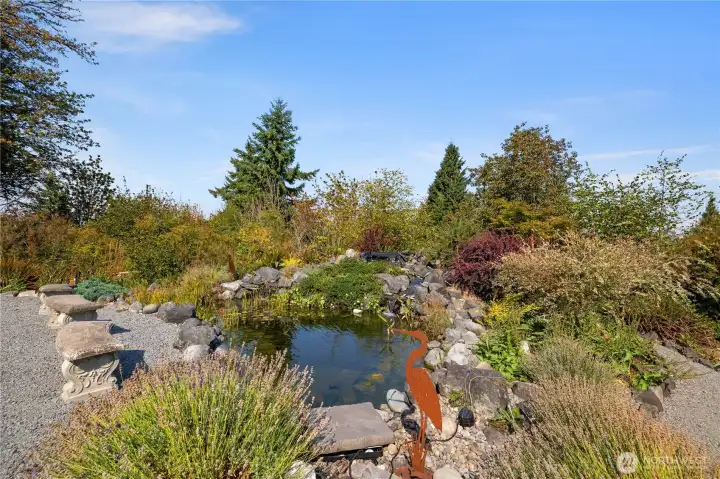 Tranquil and inviting waterfall and Koi pond.