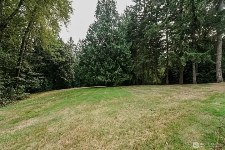 Gorgeous landscaped lot. View from the street.