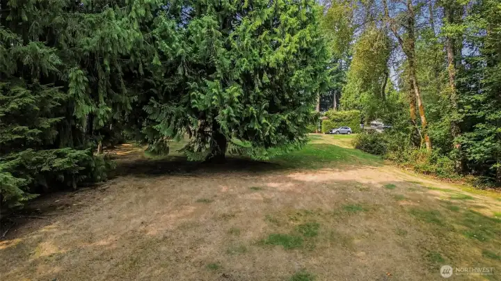 View from lower lot looking towards the street.