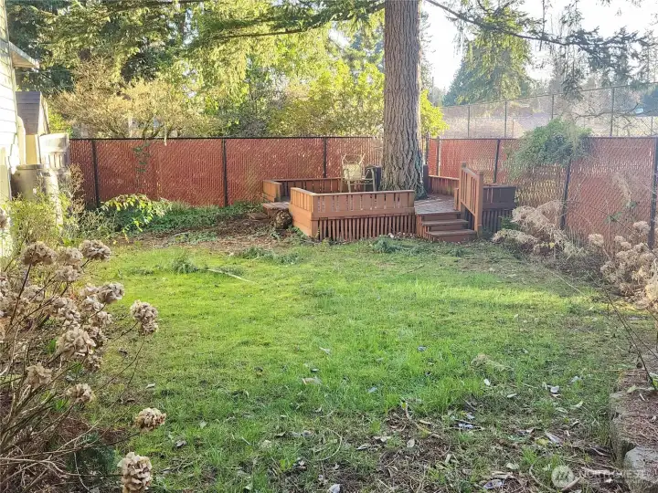 path leads to a nice sized level backyard