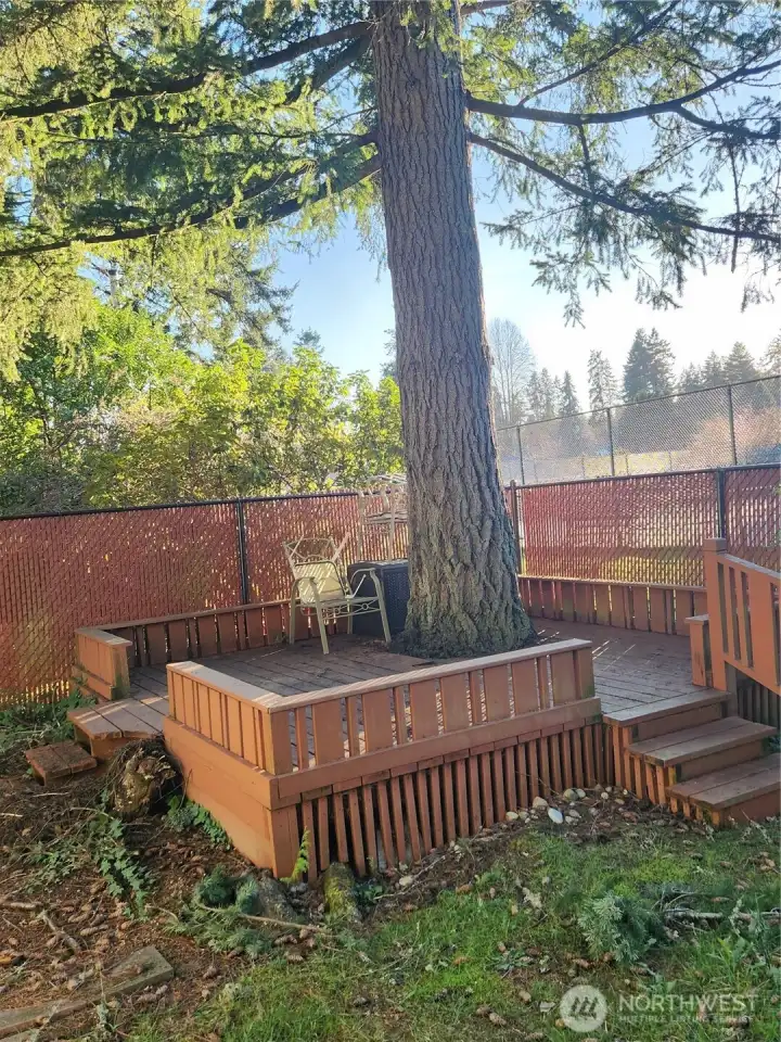 check out that cool deck