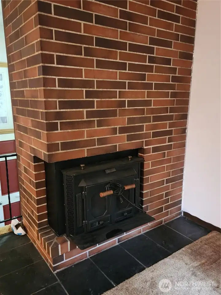 check out that cool fireplace!