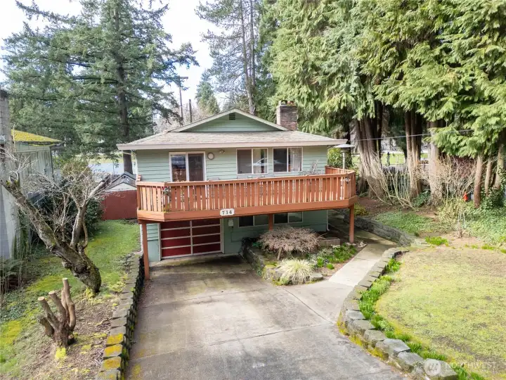 one last view of the yard