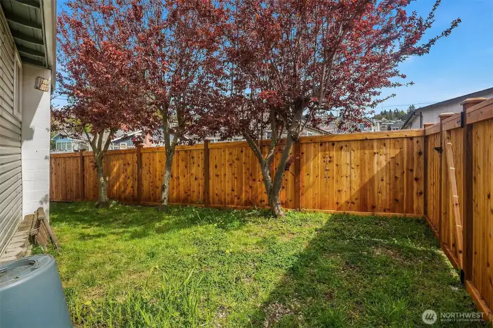 Back yard fully fenced