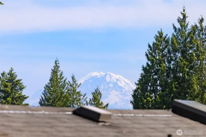 Mt Rainier Views on a sunny day Mt Rainier Views on a sunny day