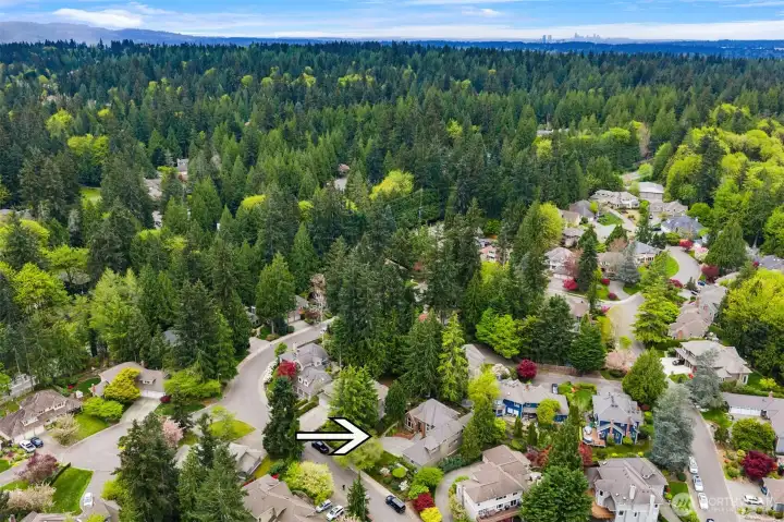 Scenic, tree-filled residential neighborhood with a strong sense of privacy and natural beauty.