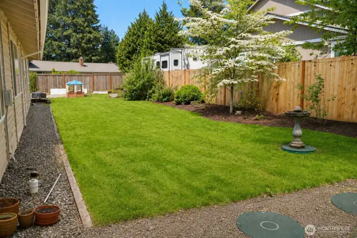 Side yard from the patio Side yard from the patio