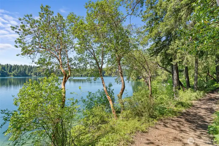 Walking trail toward Madrona beach